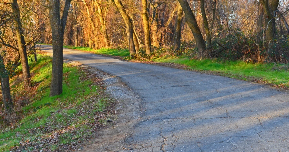 Top Parks & Outdoor Things to Do in Ontario, CA